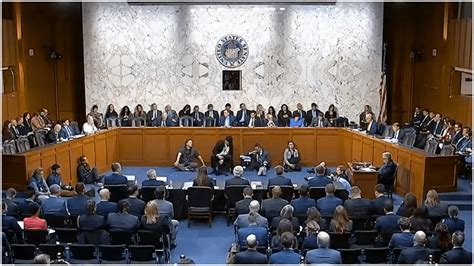 Class 2 Senate 的图像结果