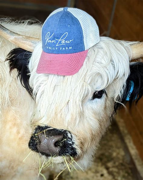 Signature Farm Hat – Van Low Family Farm