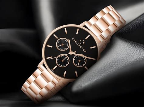 Carlington Iconic Analog Watches for Women with Premium Stainless Steel ...