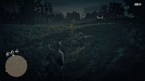 Legendary Coyote Hunting & Skin Location | Red Dead Redemption 2 Guide ...