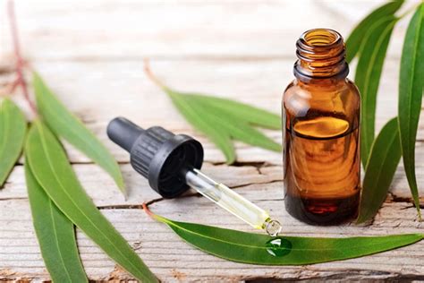 5 Ayurvedic principles to help boost hair volume