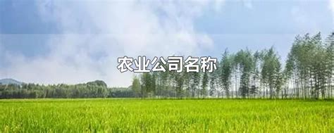 农业公司取名字大全_起名大全-美名宝起名网