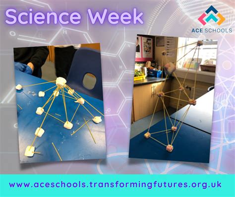 Image result for Science Week Growth