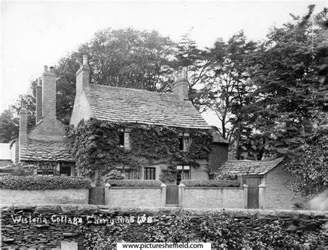 Searching Picture Sheffield