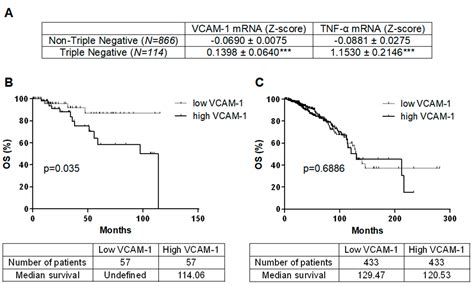 In Vivo Assessment of VCAM-1 Expression by SPECT/CT Imaging in Mice ...
