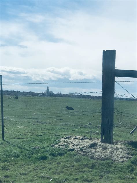 For general conference, enjoy a photo of the Twin Falls temple across a ...