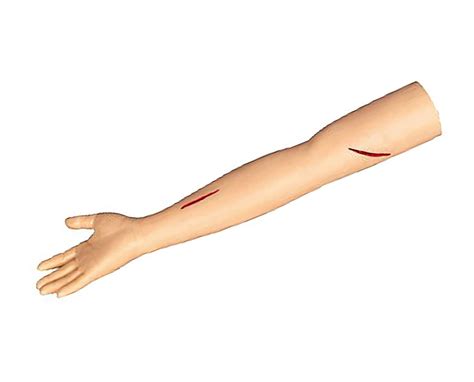 Buy GKPLY Upper Limb Arm Incision and Suture Exercise Model, Surgical ...