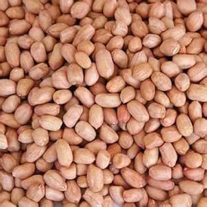PNC Quality Bazar Premium Groundnut/Sabut Mufali/Raw Peanut/Mungfali ...