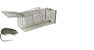 EaglesFord® Rat/Mouse/Rodent Trap Cage Rustic Copper (Chain Trap ...