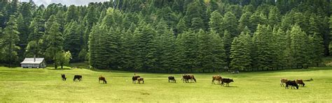 Dalhousie Tour Packages for Family and Couple