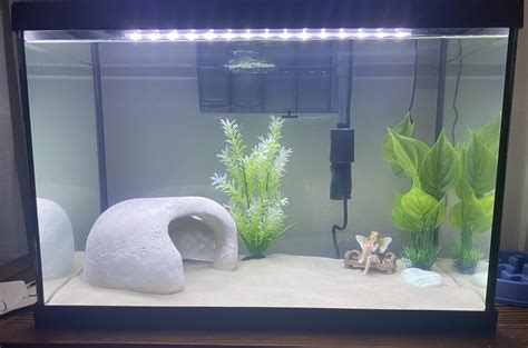 Tank set up!! (Still cycling) : r/axolotls