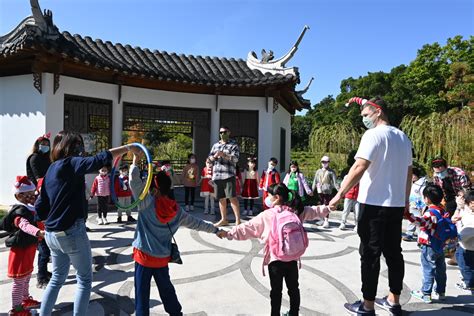 Image result for Learning English Is Fun F