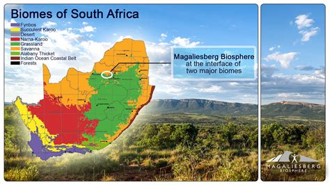 Africa Biome Map