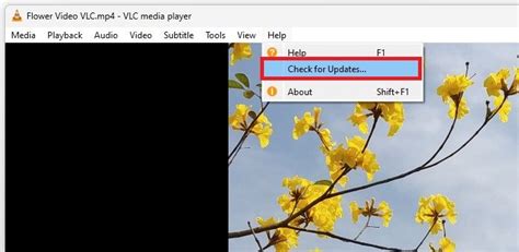 Image result for Fix VLC Player Install Problem