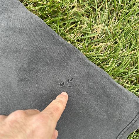 Bada Bing Logo 的图像结果