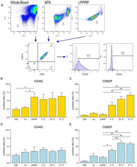 Effect of Freeze–Thawing Treatment on Platelet-Rich Plasma Purified ...