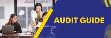 Audit Guide 的图像结果