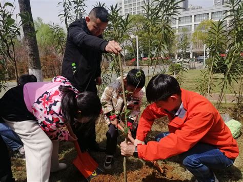 武汉华夏理工学院开展植树种花劳动教育活动 —湖北站—中国教育在线