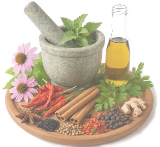 Panchakarma Explained: Benefits, Process, and Who Should Try It