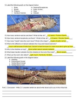 Image result for Free Virtual Earthworm Dissection Lab