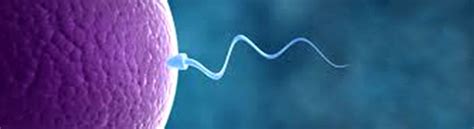 IVF - Best IVF Center in Bangladesh