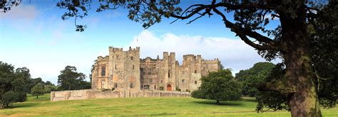 Gatesville Texas Appraisal District at Bill Voigt blog