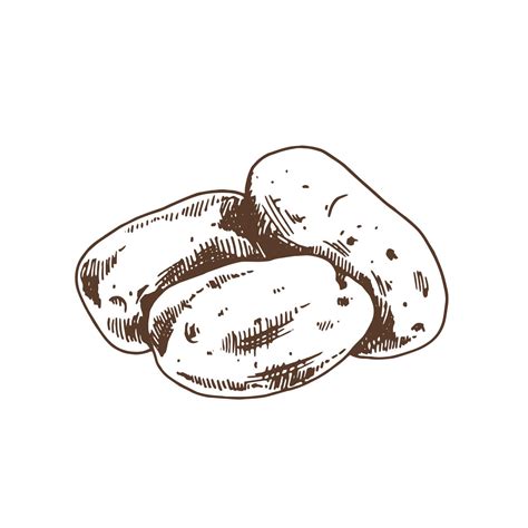 Image result for Potato Man Project Python Coding