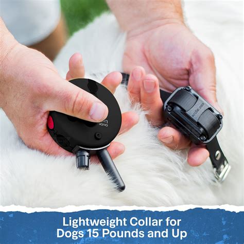 Mini Educator ET-300 Remote Dog Training Collar Black by E-Collar Tech ...