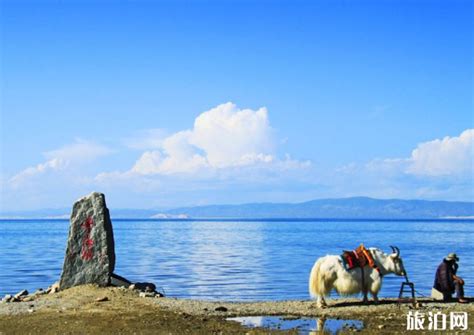 青海湖门票多少钱一张及游玩攻略_旅泊网