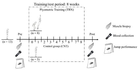Low-Volume Squat Jump Training Improves Functional Performance ...