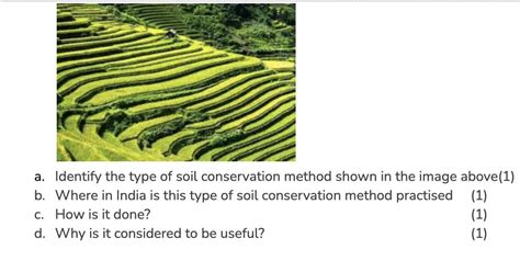 help me in this question pls - Brainly.in