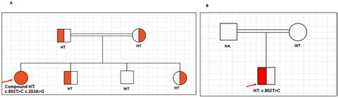 Functional Characterization of Novel MC4R Variants Identified in Two ...