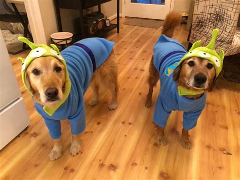 Image result for Alien Dog Costume