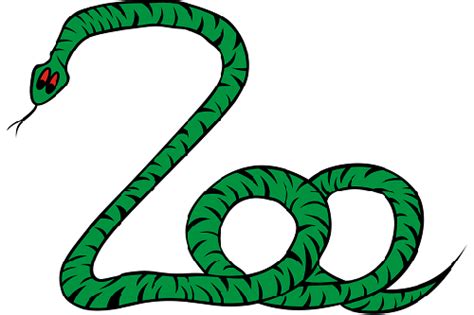2021年什么生肖最旺蛇，需要避开什么属相 -属蛇-生肖网