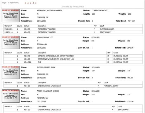 Habersham County Sheriff's Office Arrest Report 5/18 - 5/25/2025 ...