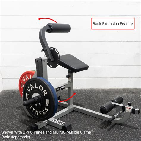 Image result for Arm and Back Machine