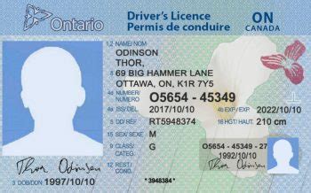 加拿大国外驾照换证案例_国外驾照换证案例 - 国外驾照guowaijiazhao.com