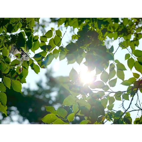 MOMOLO〜Healing space