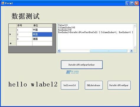 DataGridView Visual Basic 的图像结果