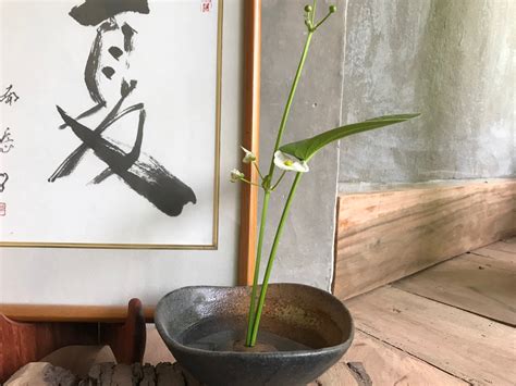 A home in Shantiniketan: Tagore meets wabi-sabi in a poetic ode to the ...