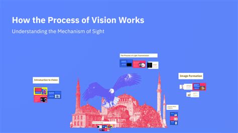 Image result for Process of Vision