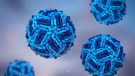 Kansas tracks 5 serious West Nile virus cases as mosquito season peaks across the state - The ...