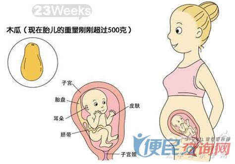 怀孕二十三周啦，看看肚子有多大_哔哩哔哩_bilibili