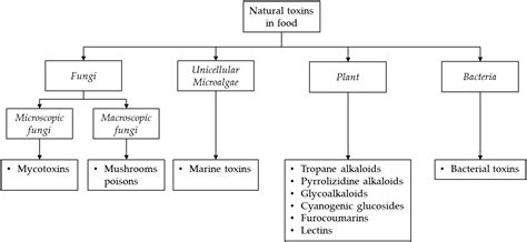 LC-MS Methods for Mycotoxins Detection in Food Products | Encyclopedia MDPI