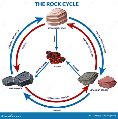 Diagram showing rock cycle stock vector. Illustration of learning ...