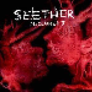 Image result for Seether Disclaimer II