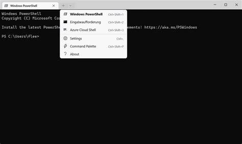 Image result for Windows Terminal Server Hosting