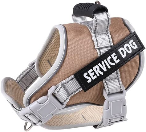 Globe of Pets Dog Harness, Adjustable Dog Body Belt for Large Dogs with ...
