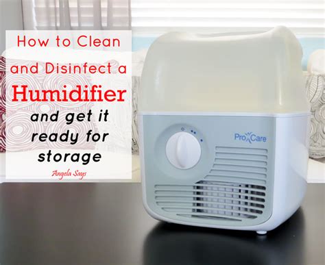 Image result for How to Clean Humidifier