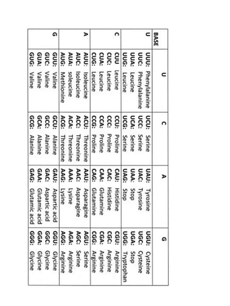How to Read Genetic Code Table 的图像结果